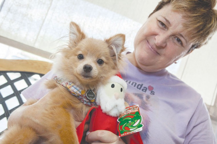 Malinda's Pampered Pets